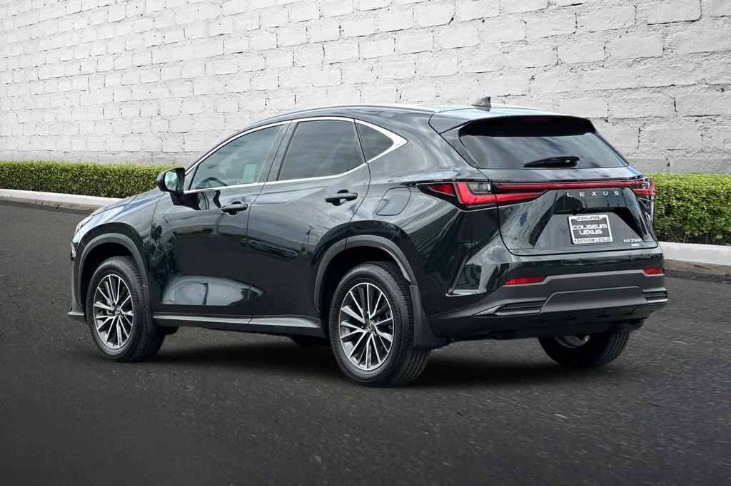 2025 Lexus NX Hybrid 350h - Photo 6