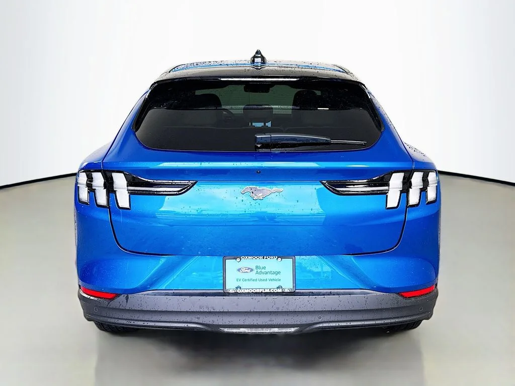 Certified Used 2025 Velocity Blue Metallic Ford Premium image 13