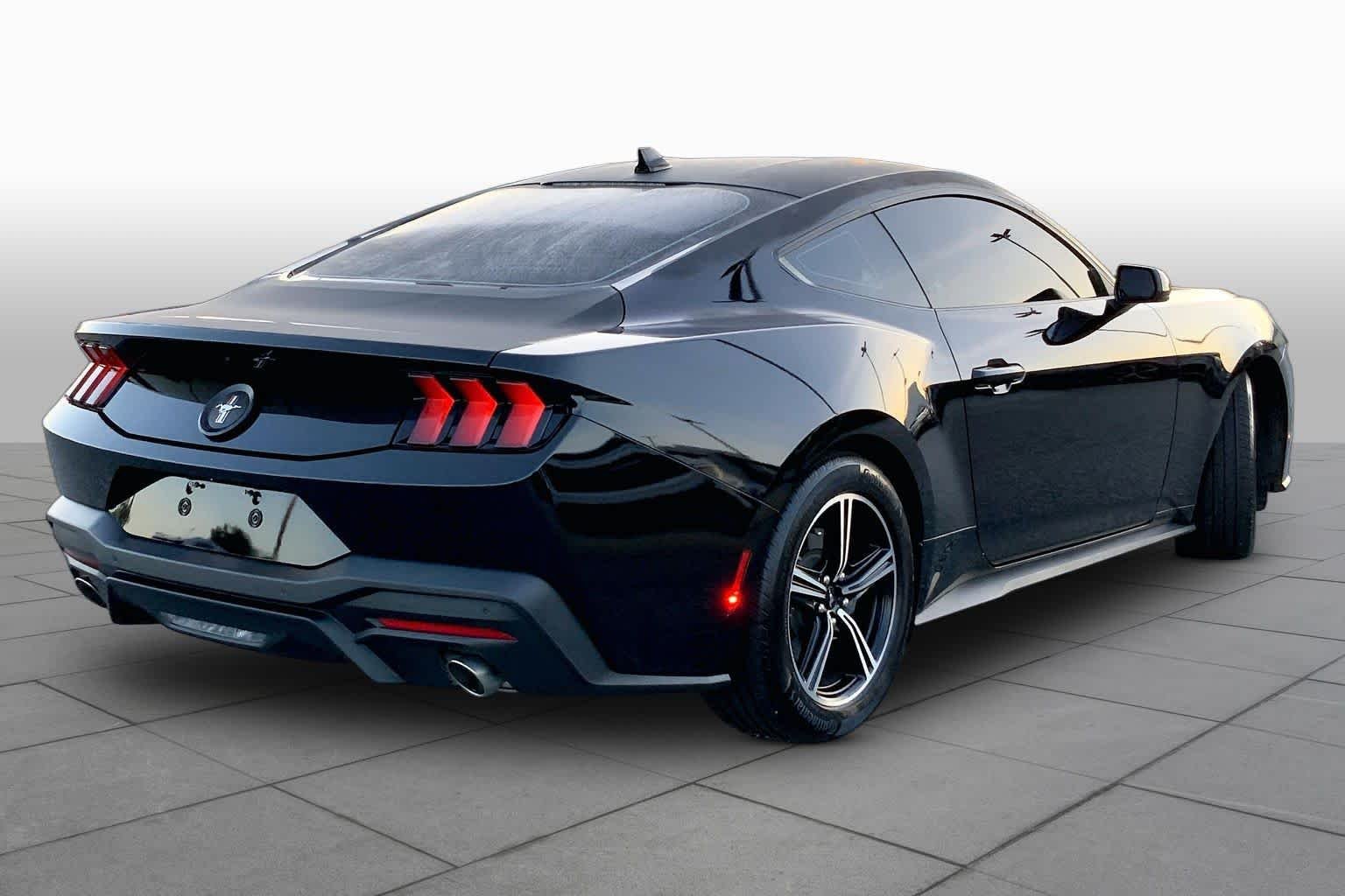 Used 2025 Shadow Black Ford EcoBoost image 12