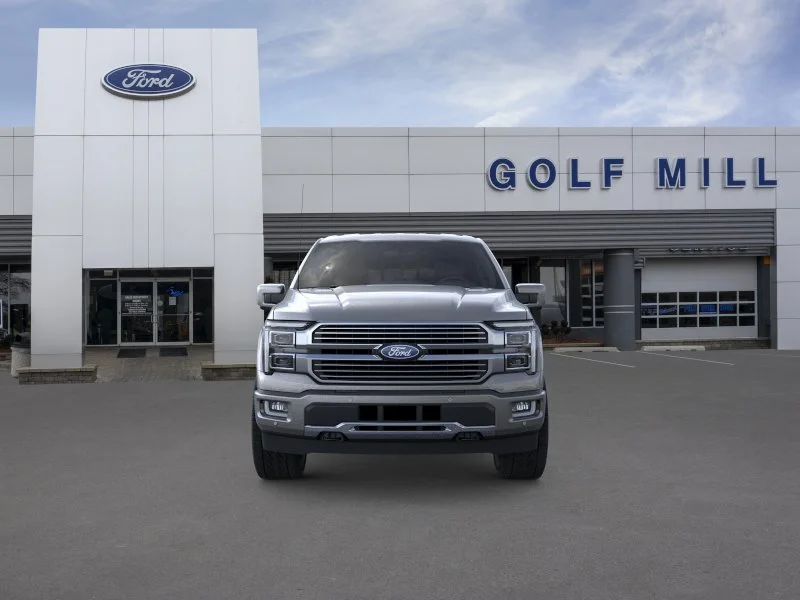 New 2026 Carbonized Gray Metallic Ford Platinum® image 5