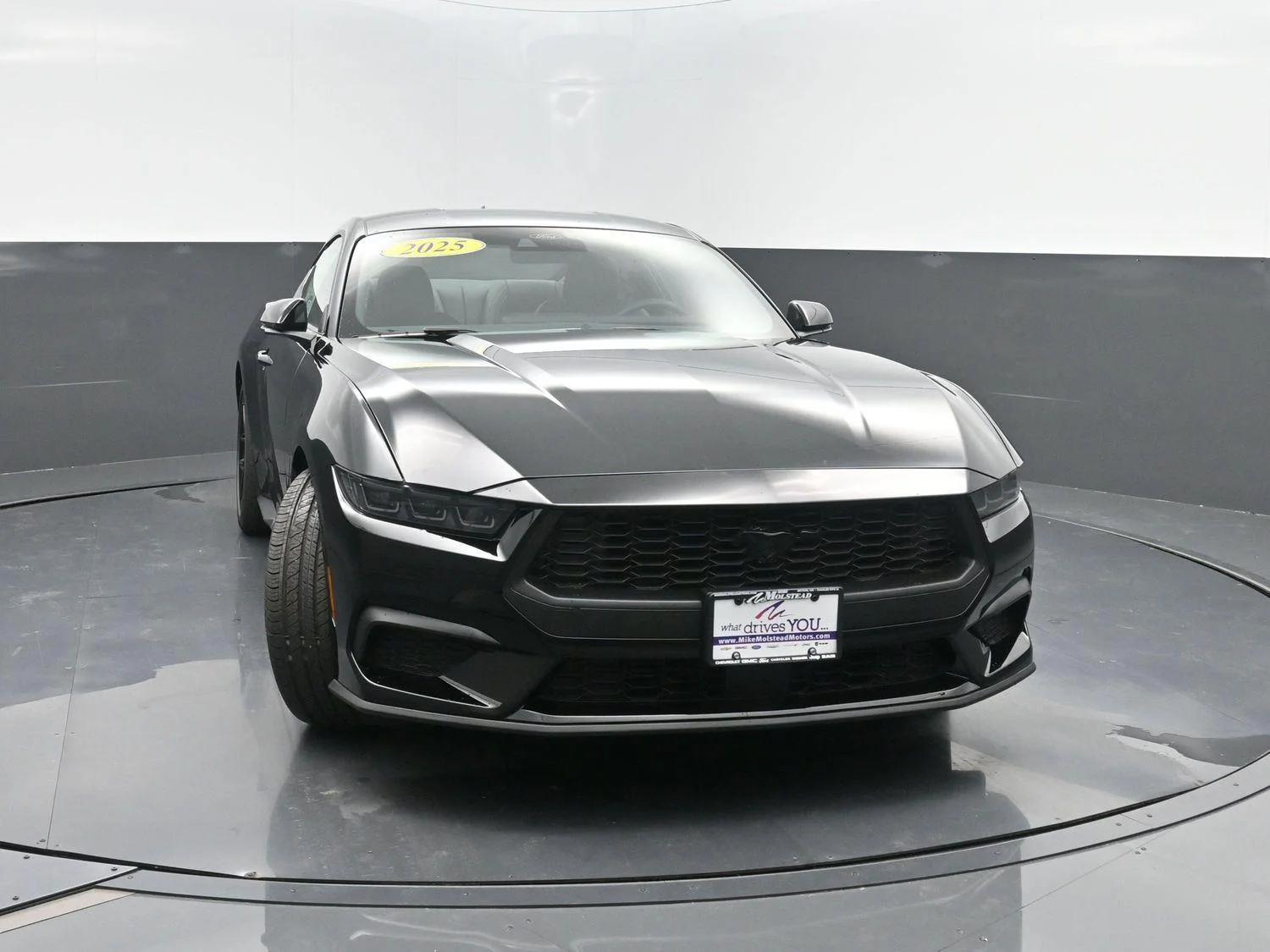 New 2025 Shadow Black Ford EcoBoost® Premium Fastback image 38