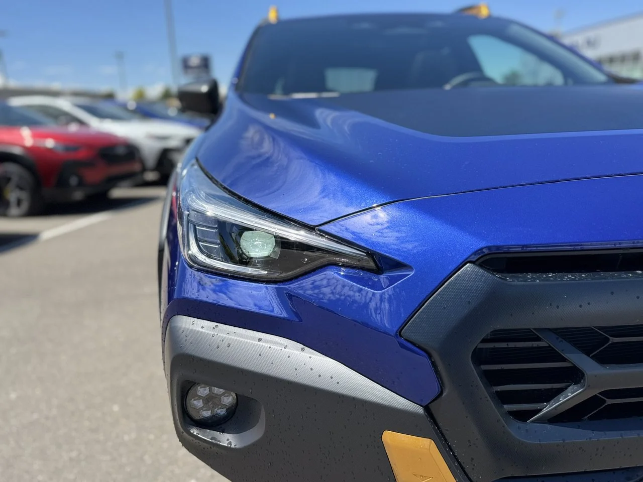 New 2026 Sapphire Blue Pearl Subaru Wilderness image 45