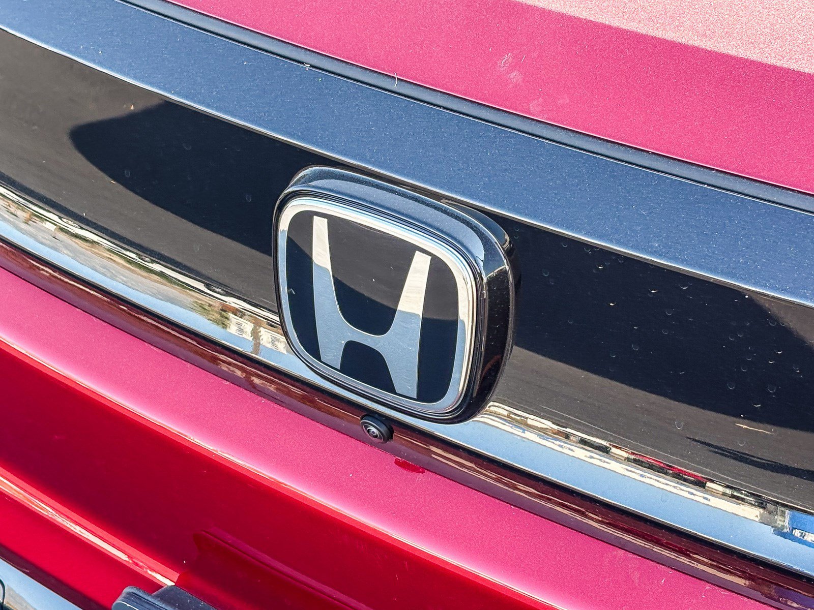 New 2026 Scarlet Red Metallic Honda Elite image 9