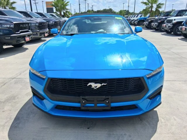 Used 2025 Blue Ford EcoBoost Premium image 2