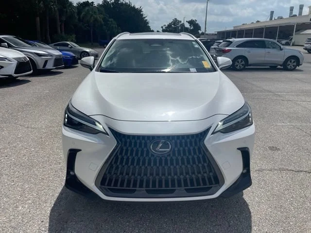 Certified Used 2025 White Pearl Lexus NX 250 Premium image 6