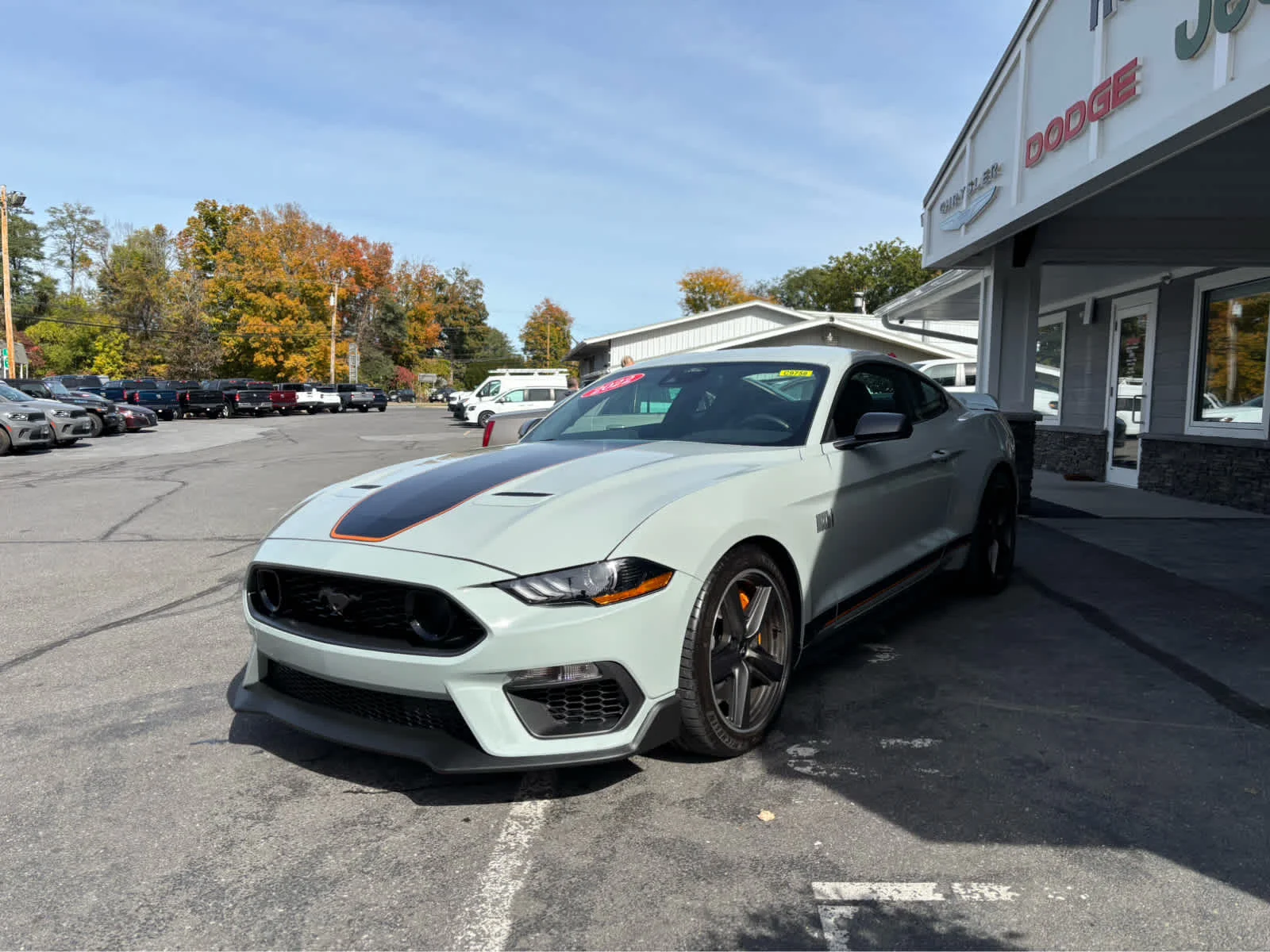 Used 2022 Fighter Jet Gray Ford Mach 1 image 3