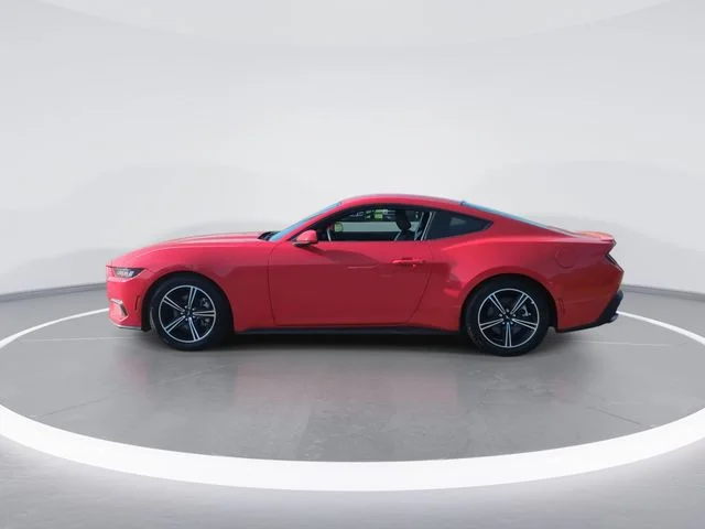 Used 2024 Red Ford EcoBoost Premium image 5