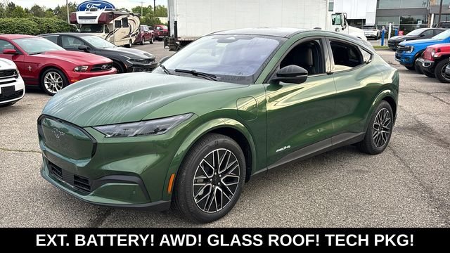 New 2026 Eruption Green Metallic Ford Premium image 3