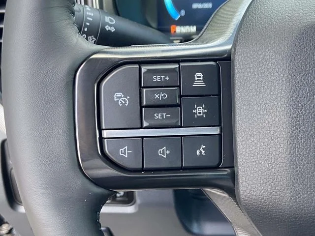 New 2026 Black Ford Platinum image 20
