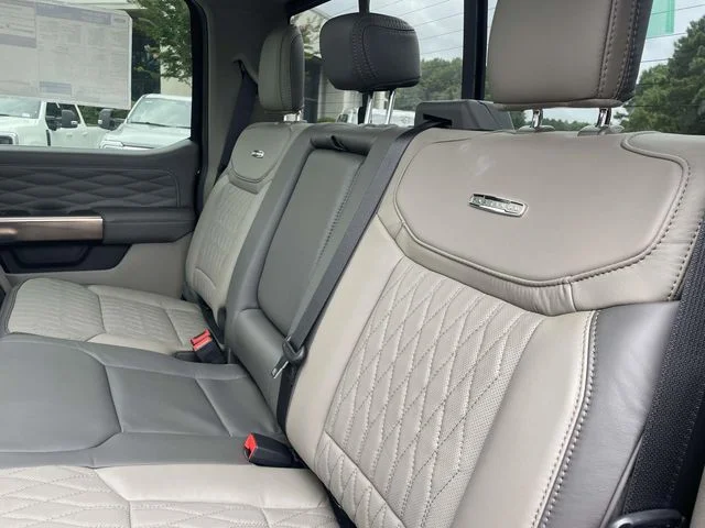 New 2026 Black Ford Platinum image 11