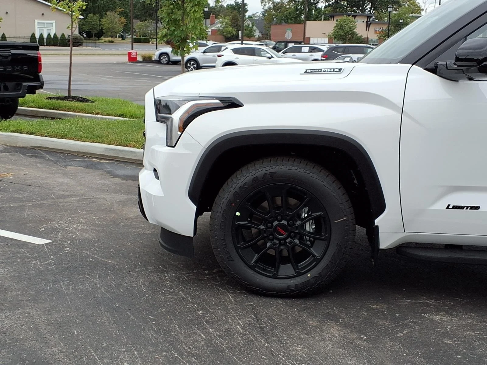New 2026 Ice Cap Toyota Limited image 19