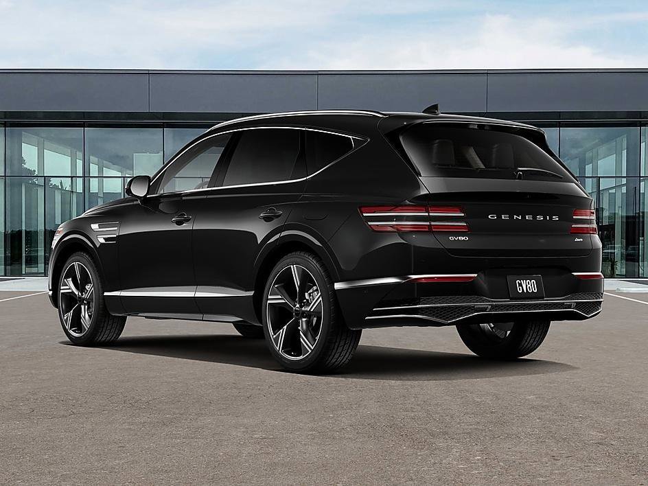 New 2026 Vik Black Genesis 2.5T PRESTIGE image 5