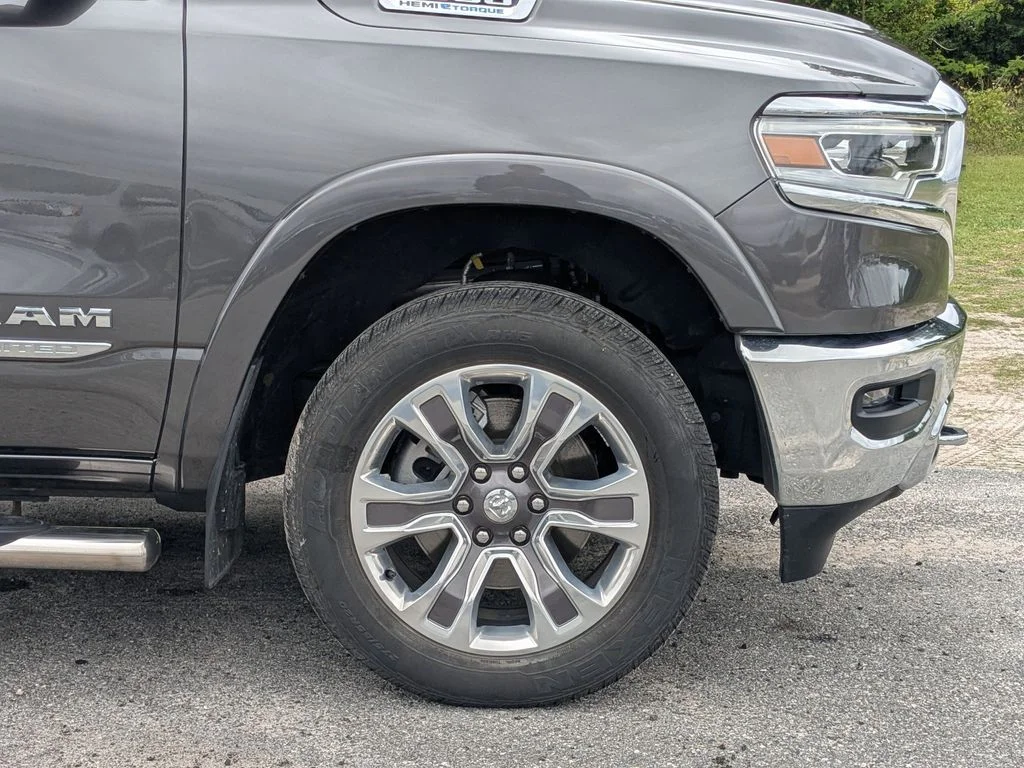 Used 2024 Gray Ram Limited image 13