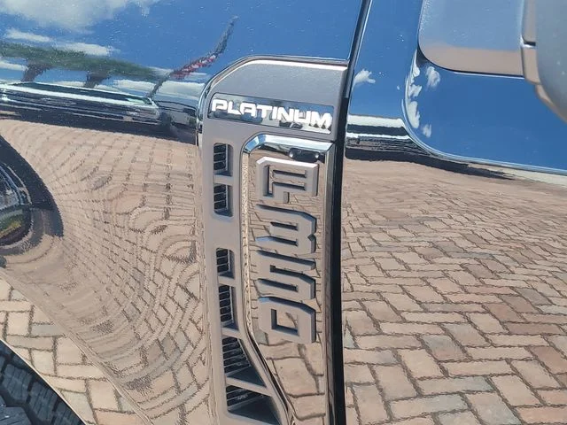 New 2026 Black Metallic Ford Platinum image 9