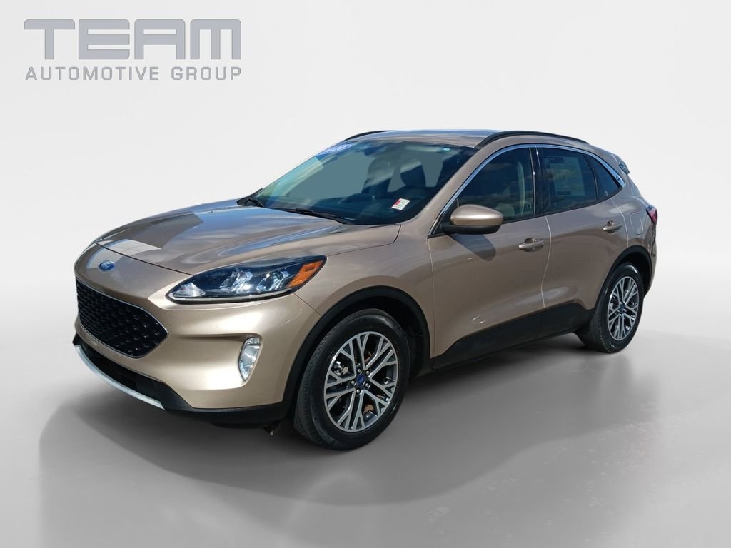 Used 2020 Gold Ford SEL image 3