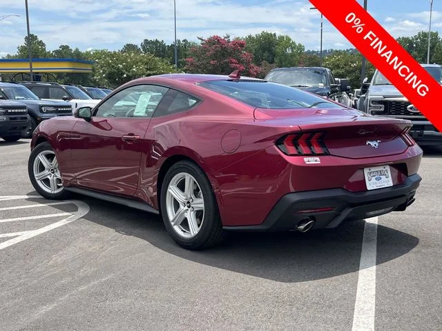 New 2026 Molten Magenta Metallic Tinted Clearcoat Ford EcoBoost image 4