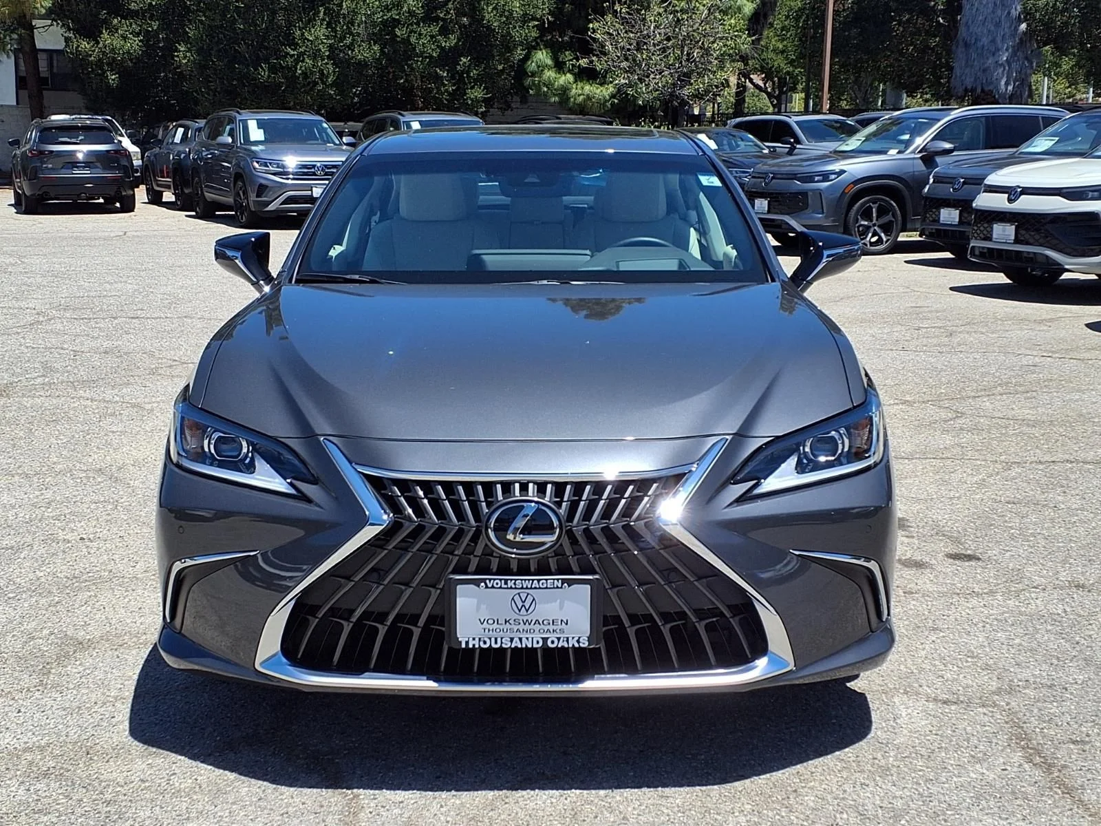 Used 2025 Gray Lexus 300h image 2