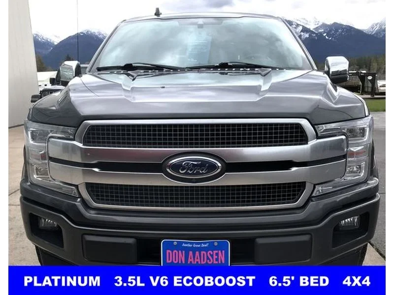 Certified Used 2020 Magnetic Metallic Ford Platinum image 3