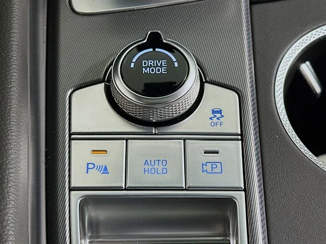 New 2026 Blue Genesis 3.3T Sport Prestige image 21