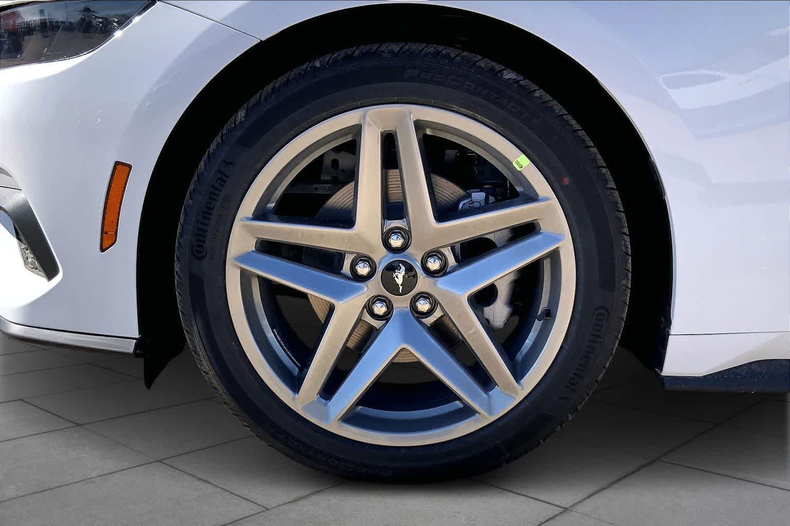 New 2026 Oxford White Ford EcoBoost® Fastback image 8