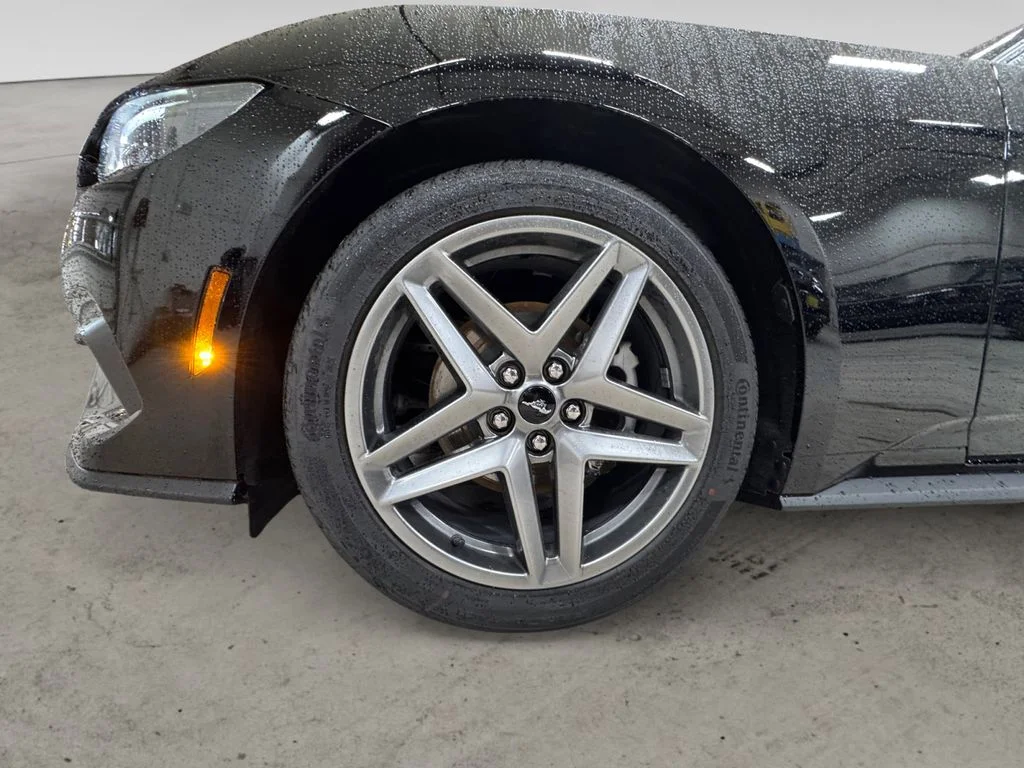 New 2026 Black Ford EcoBoost Premium image 14
