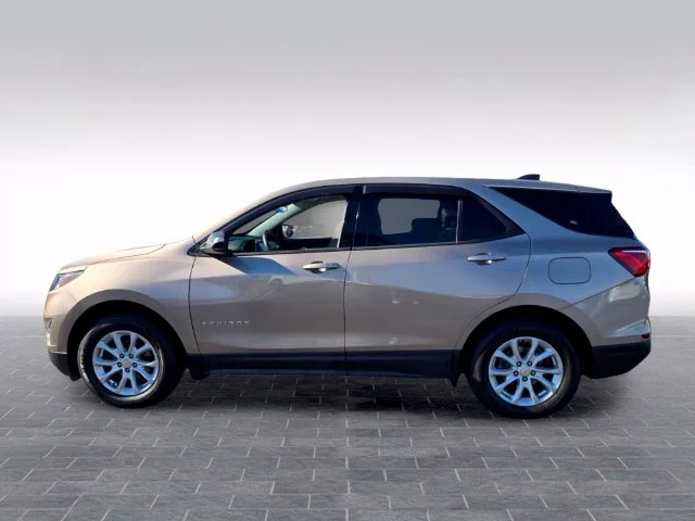 Used 2019 Beige Chevrolet LS image 4