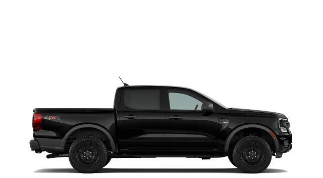 New 2026 Shadow Ford XL image 5