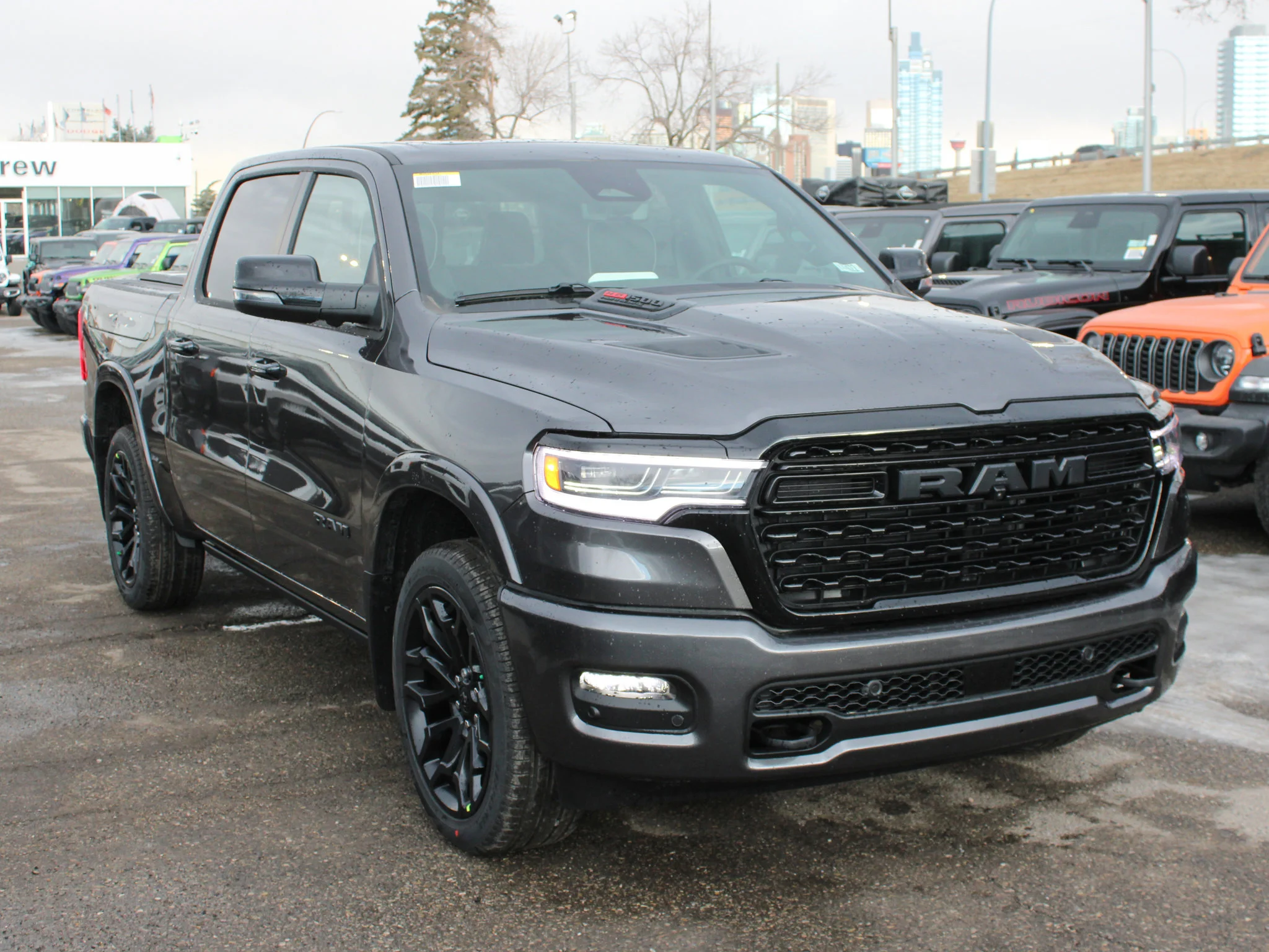 New 2026 Grey RAM Limited* image 9