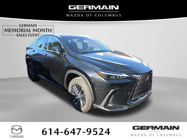 2024 Lexus NX 350 350 Premium AWD's photo