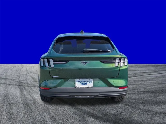 New 2026 Green Ford Premium image 4