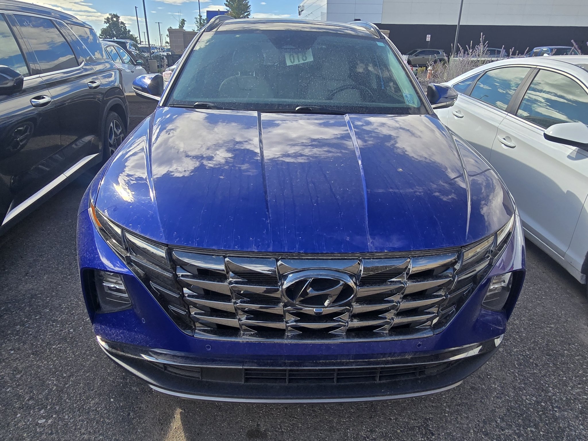 Used 2022 Intense Blue Hyundai Limited image 8
