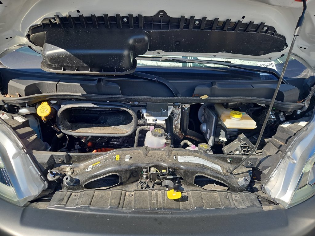 Used 2024 White Ram EV Electric image 29