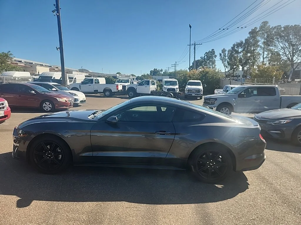 Used 2019 Gray Ford EcoBoost image 9