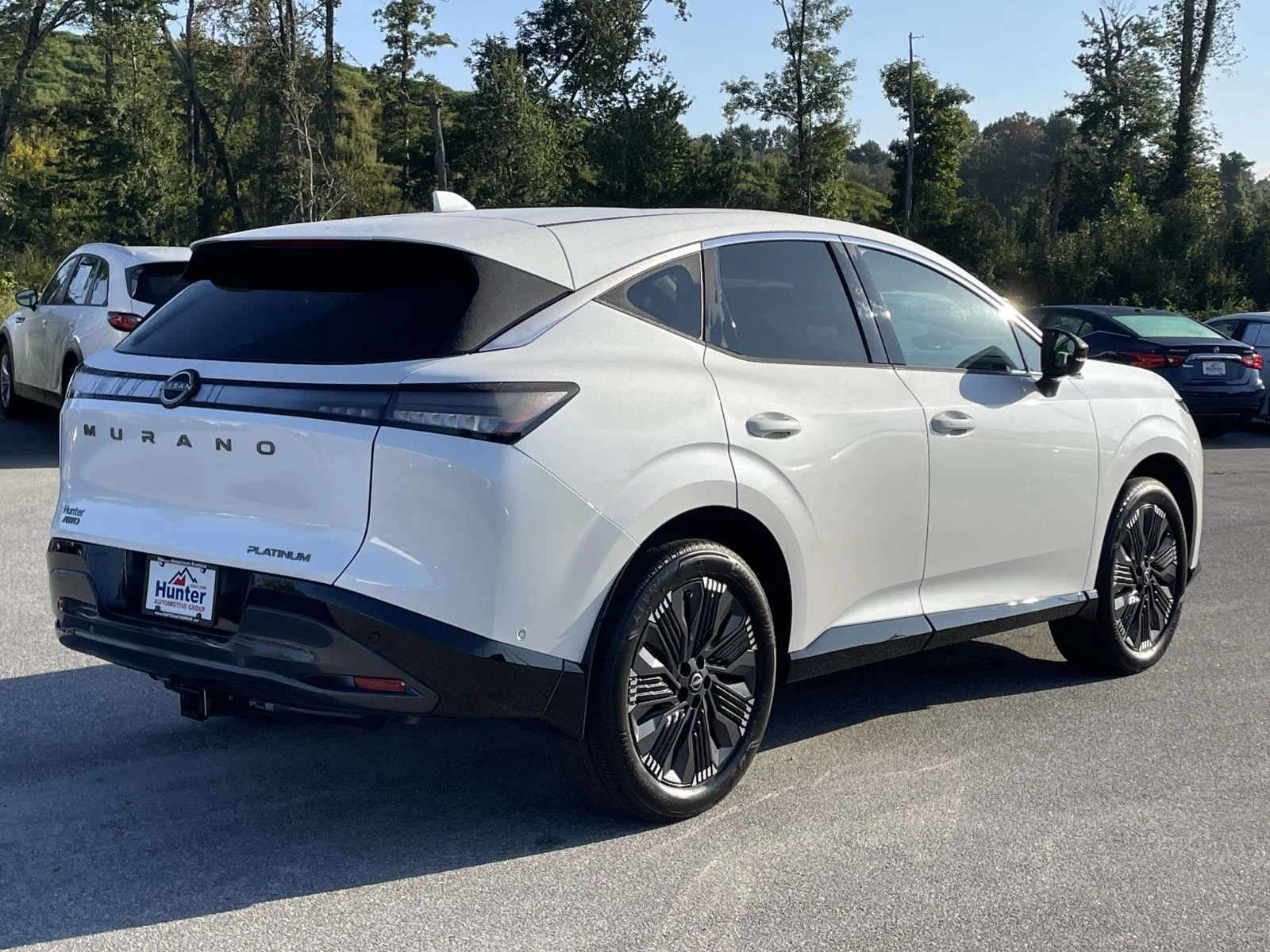 Used 2025 Everest White Pearl Tricoat Nissan Platinum image 30