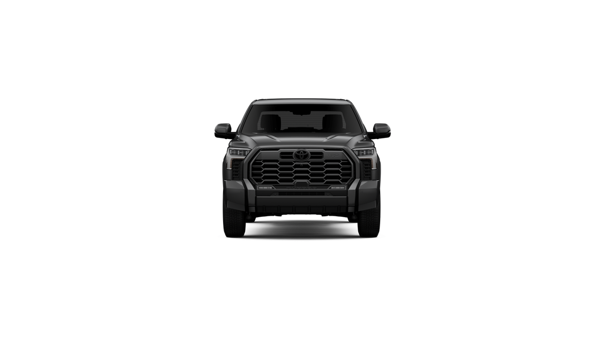 New 2026 Magnetic Gray Metallic Toyota Platinum image 32