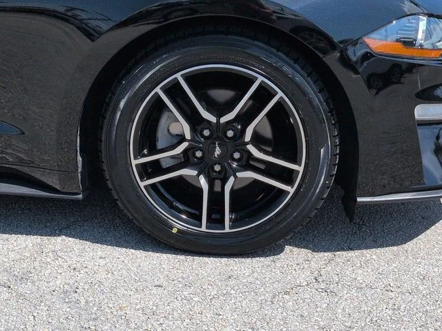 Used 2019 Black Ford EcoBoost Premium image 11