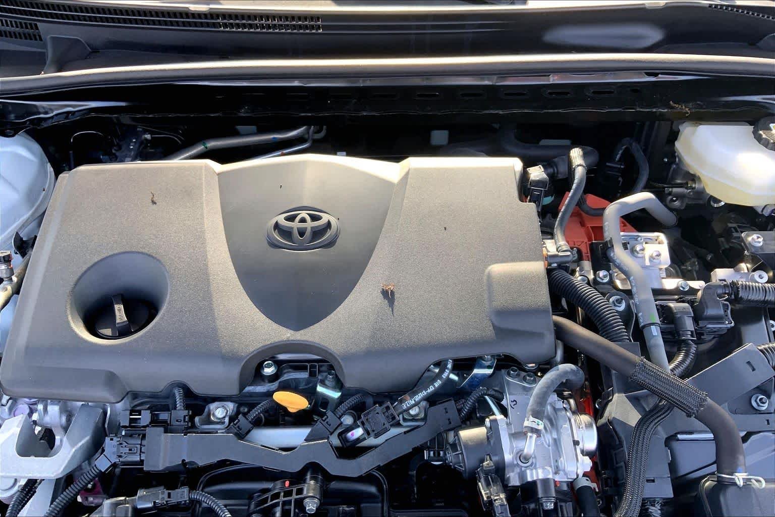 Used 2025 Ice Cap Toyota LE image 32