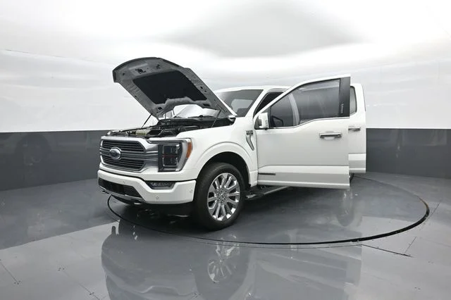 Used 2023 Star White Ford Limited image 45