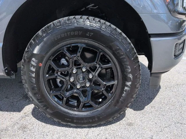 New 2026 Gray Ford STX image 11