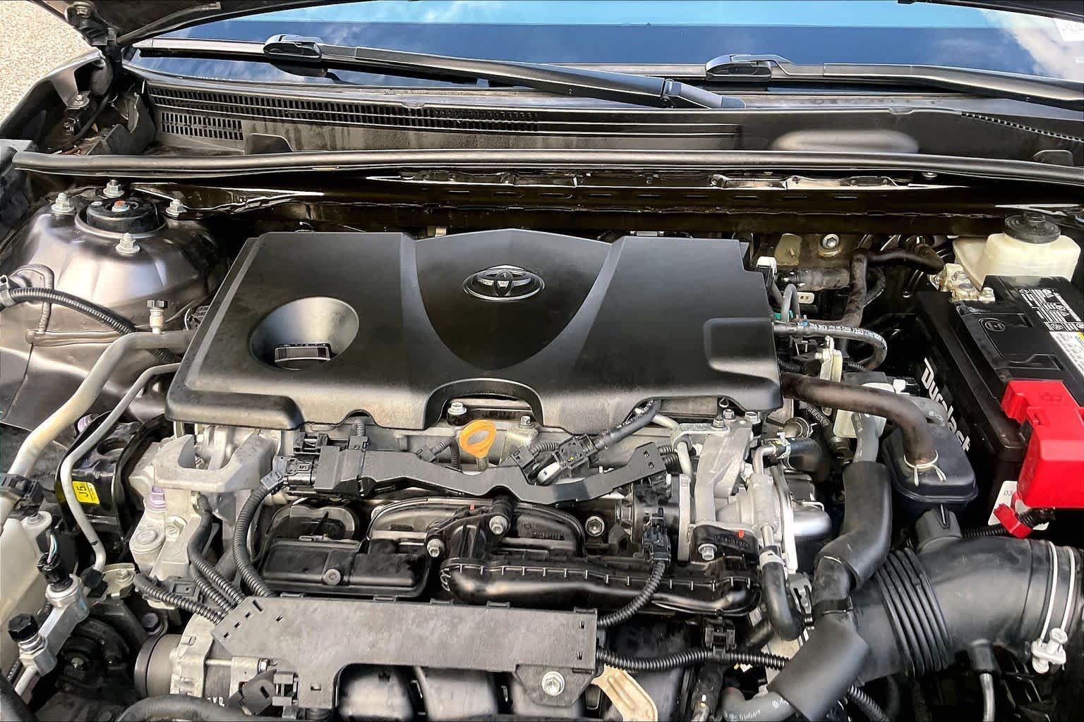 Used 2019 Predawn Gray Mica Toyota LE image 32
