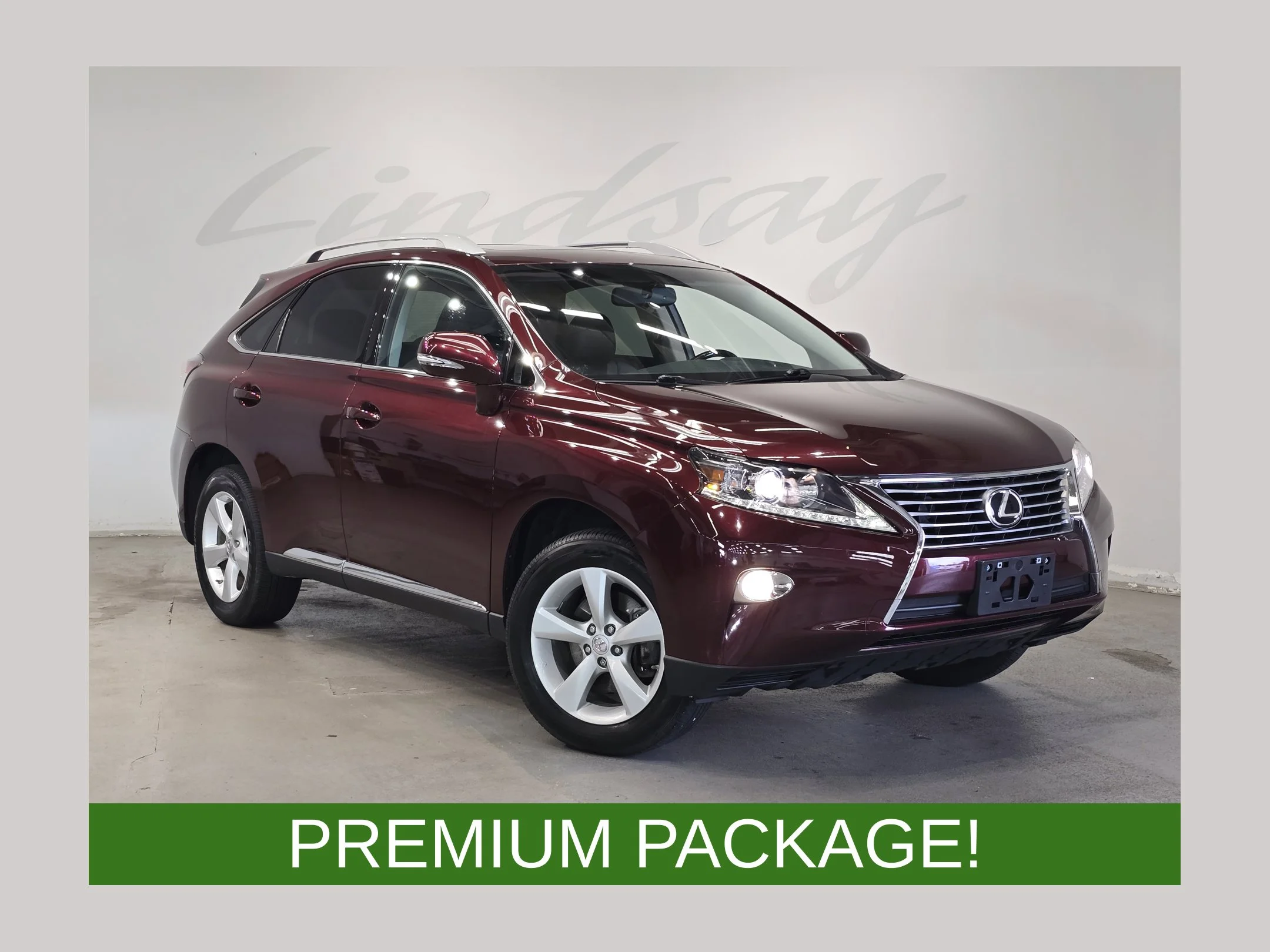 2013 Lexus RX