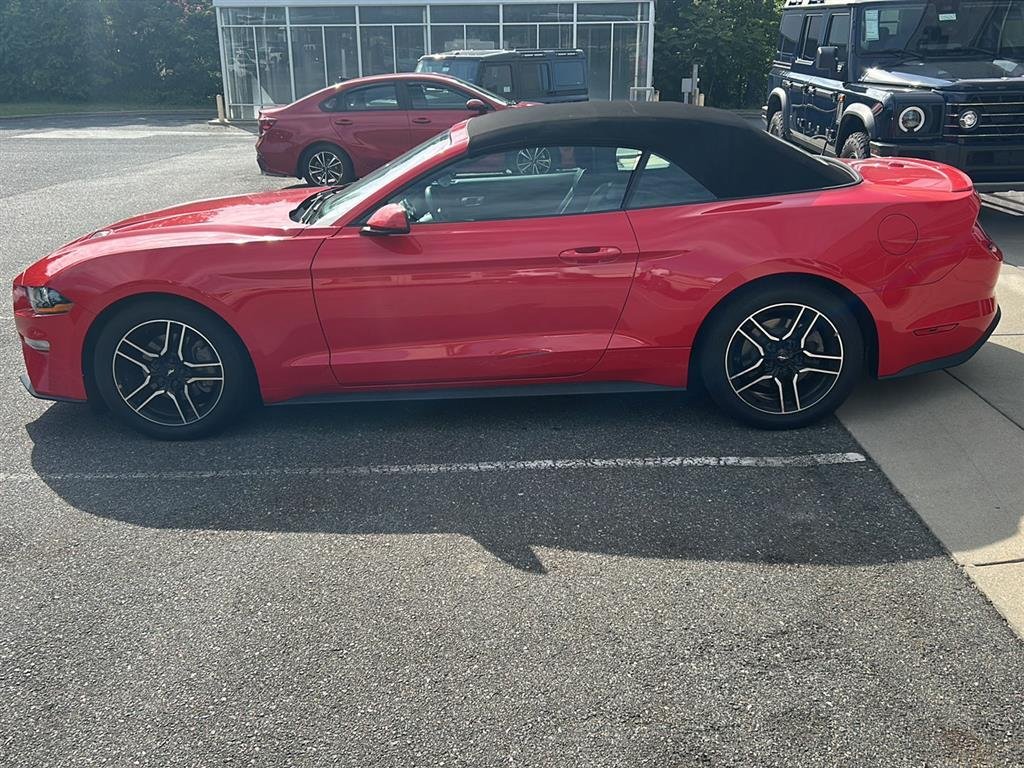 Used 2019 Race Red Ford EcoBoost Premium image 2