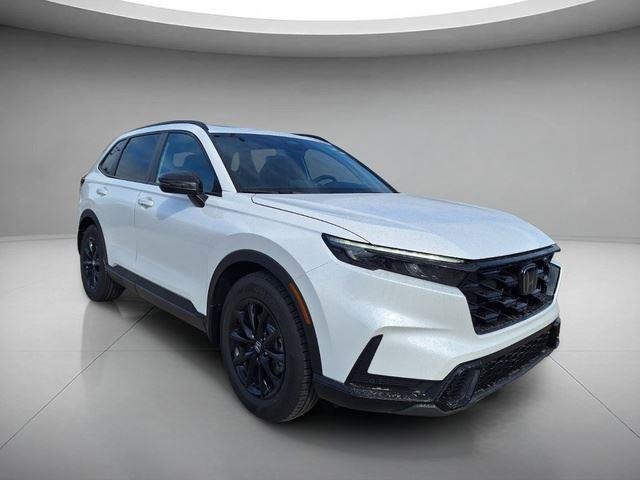 New 2026 Platinum White Pearl Honda Sport-L image 7