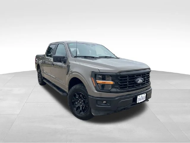 Used 2025 Gray Ford STX image 11
