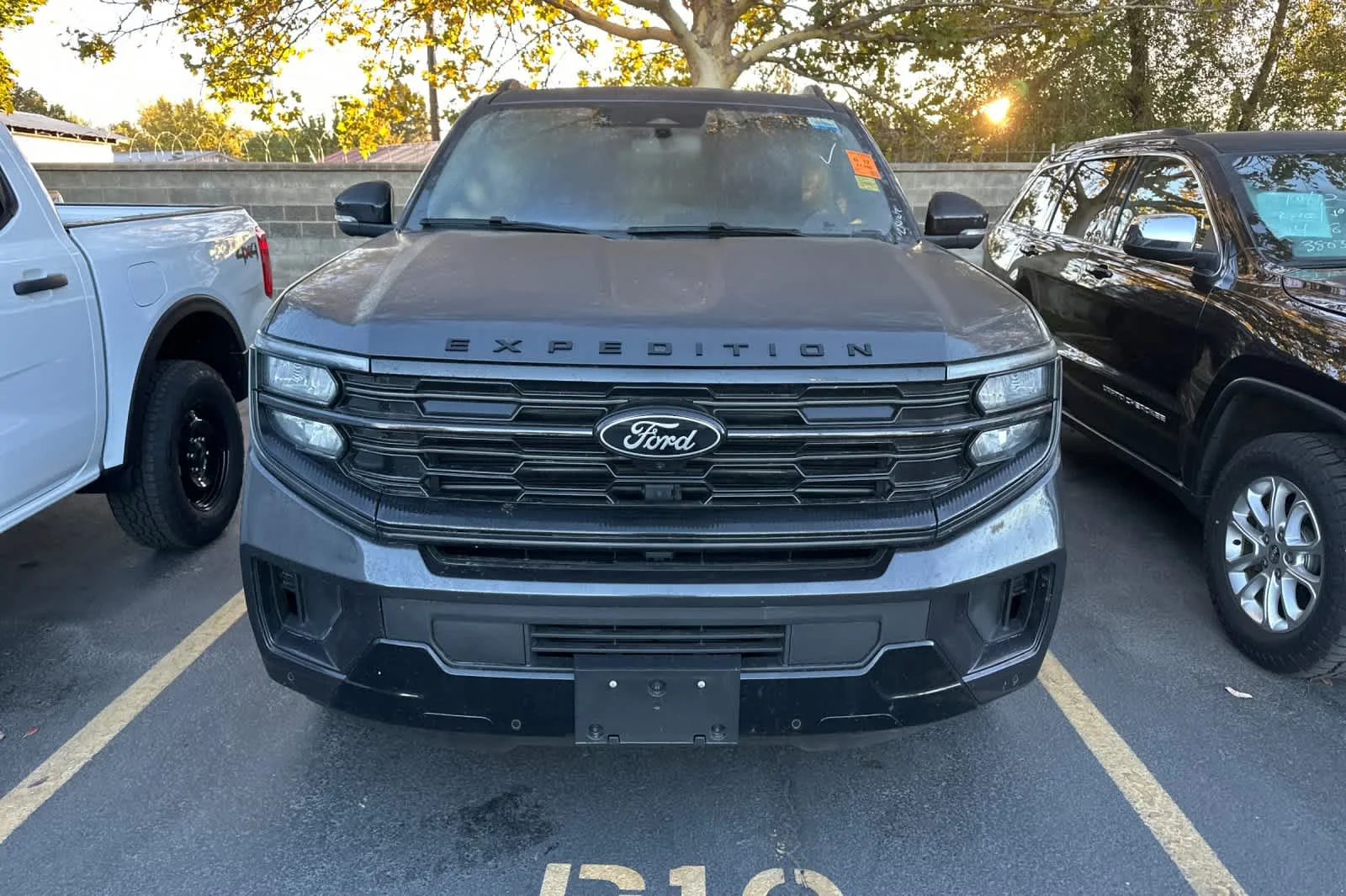 Used 2025 Dark Matter Gray Metallic Ford Platinum image 2