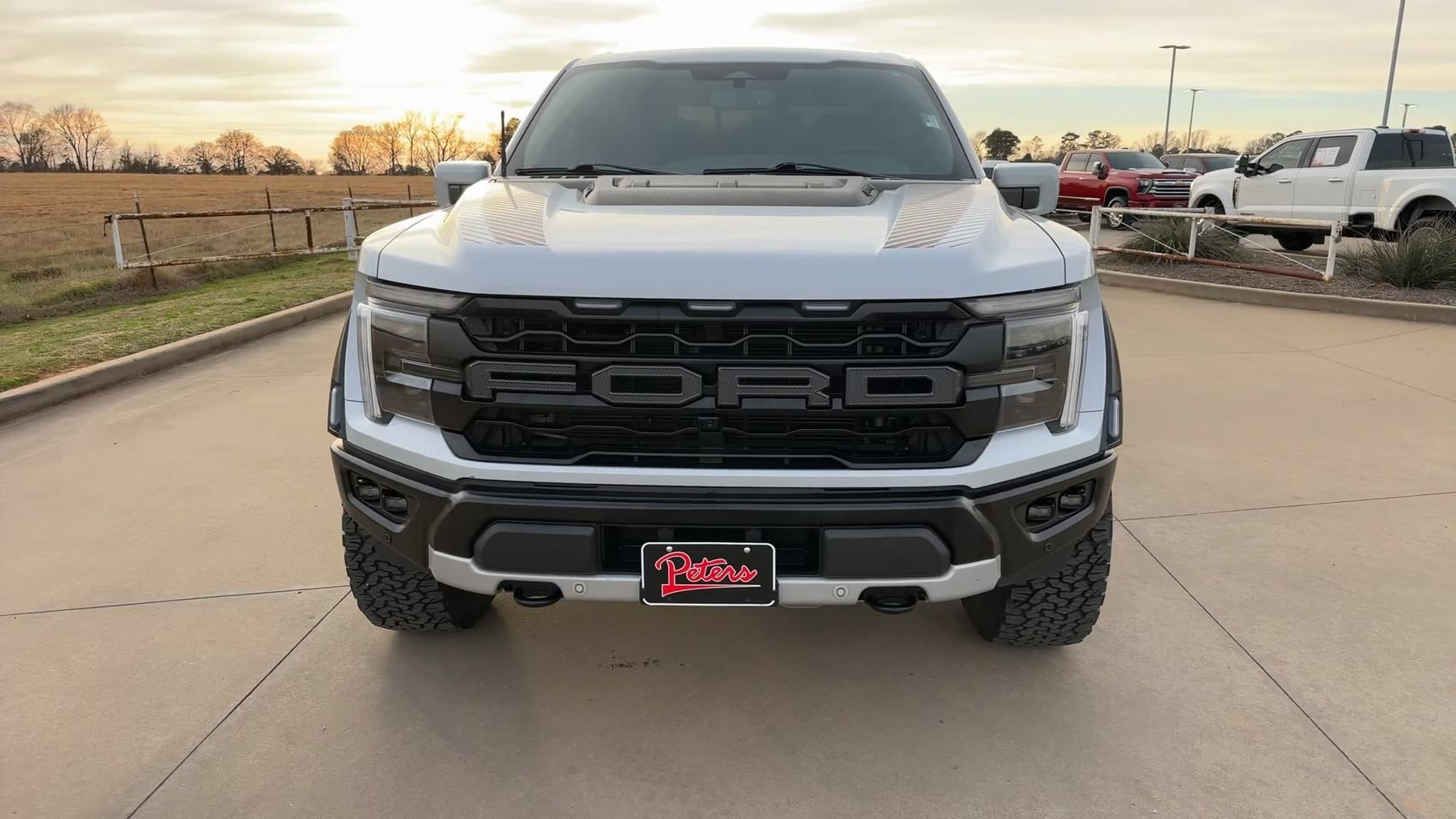 Used 2025 White Metallic Ford Raptor image 4