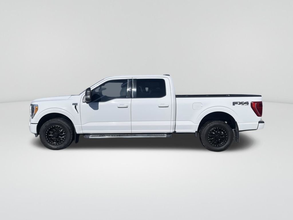 2023 Ford F-150 XLT photo 2