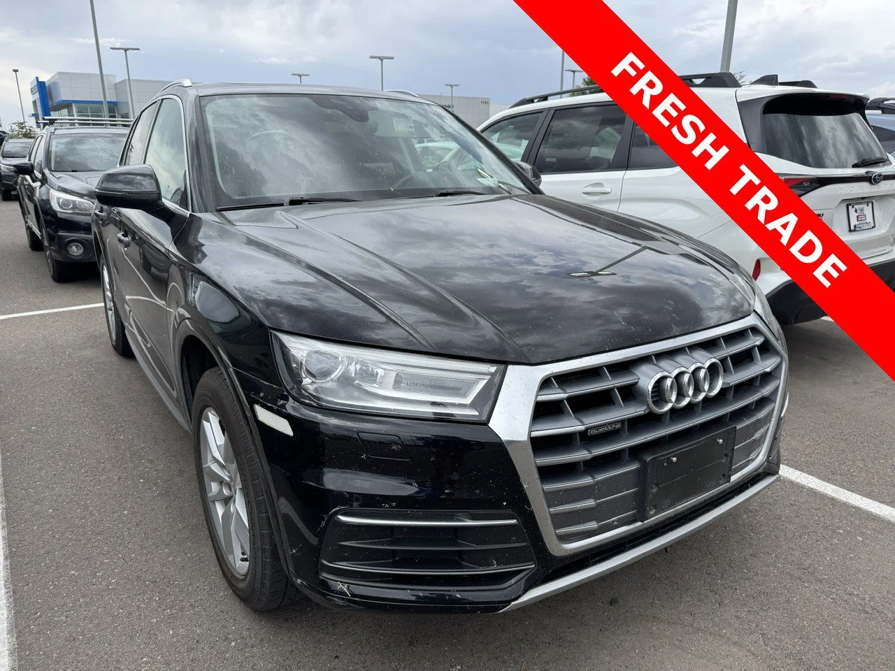 2020 Audi Q5 45 Titanium quattro S tronic Premium's photo