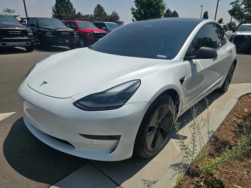 Used 2021 Pearl White Multi-Coat Tesla Standard Range Plus image 1