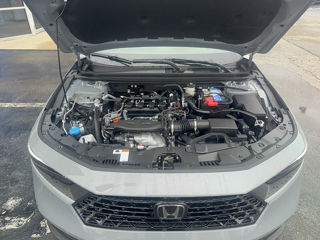 New 2026 Urban Gray Pearl Honda SE image 16
